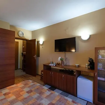 Cosy In The Center Of Bansko